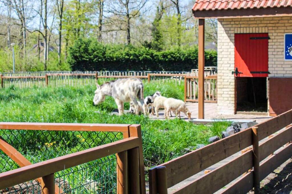 Tof Wellness Huis, Alles Nieuw, Gelegen Bij Meer. Ewijk Εξωτερικό φωτογραφία
